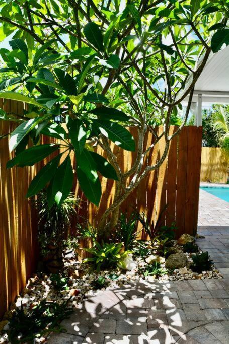 Tropical Retreat Near Beaches, Cruise Terminals Merritt Island Exterior foto